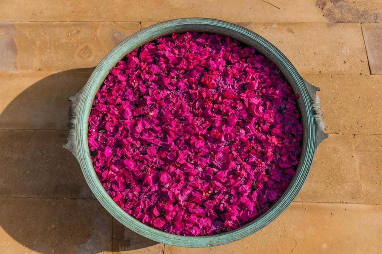 Suryagarh ג'איסלמר מראה חיצוני תמונה